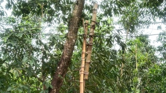 image-here